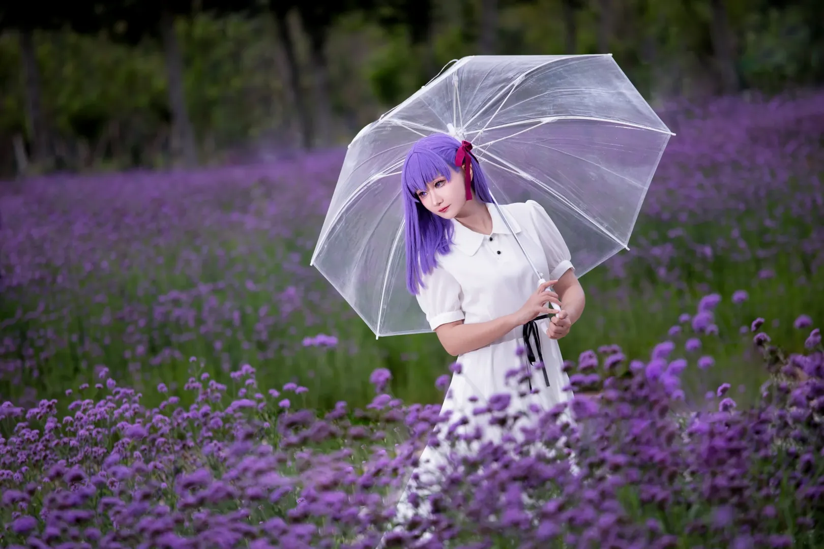 摄影作品, Fate, 花海, 间桐樱cos, 黑化 - 第1张