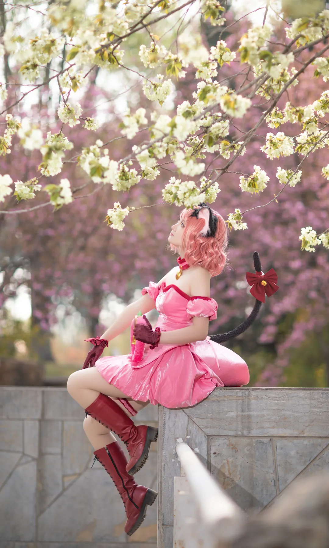 cosplay, 樱花写真, 粉色兽耳, 桃宫莓cos, 东京猫猫 - 第1张