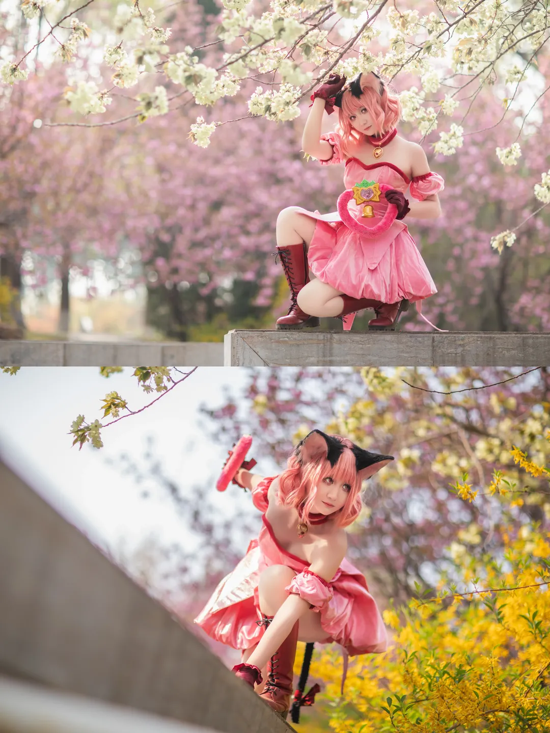 cosplay, 樱花外景, 桃宫莓cos, 东京猫猫, 草莓猫猫cos - 第1张