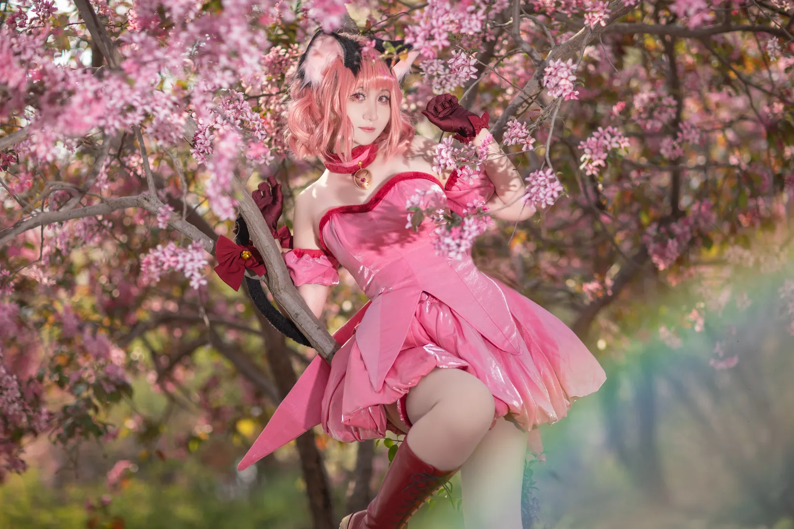 cosplay, 樱花外景, 桃宫莓cos, 东京猫猫, 草莓猫猫cos - 第2张