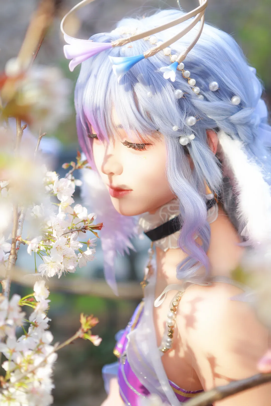 崩坏星穹铁道, 知更鸟cos, cosplay摄影, 樱花季, 星穹铁道cosplay - 第2张