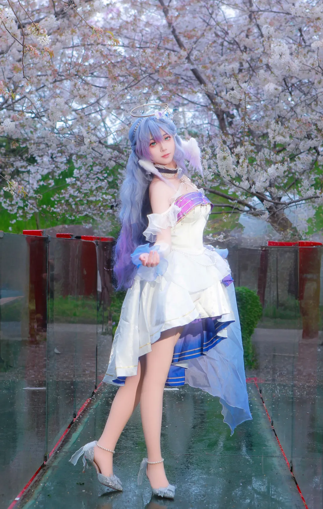 崩壞星穹鐵道, 知更鳥cos, 櫻花外景, cosplay攝影, 二次元還原 - 第4張