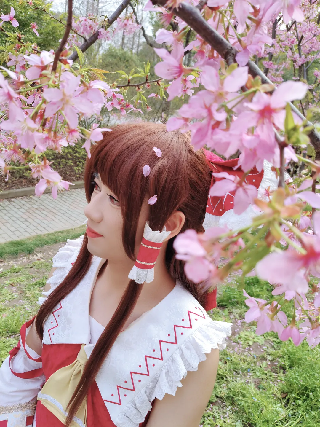 博丽灵梦cos, 东方project, 樱花外景, 巫女服, 白丝袜 - 第1张
