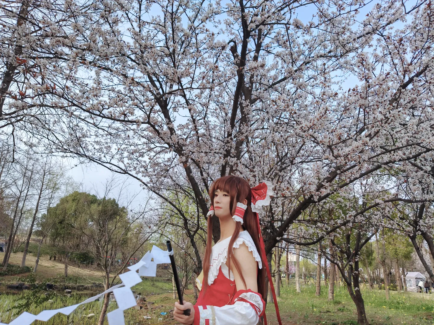 博丽灵梦cos, 东方project, 樱花外景, 巫女服, 白丝袜 - 第6张