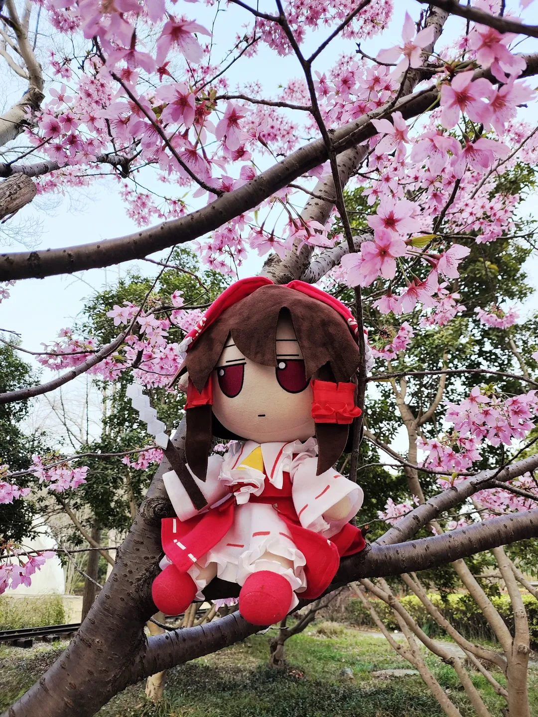 博丽灵梦cos, 东方Project, 二次元看见计划, fumo, 春日外景cosplay - 第6张
