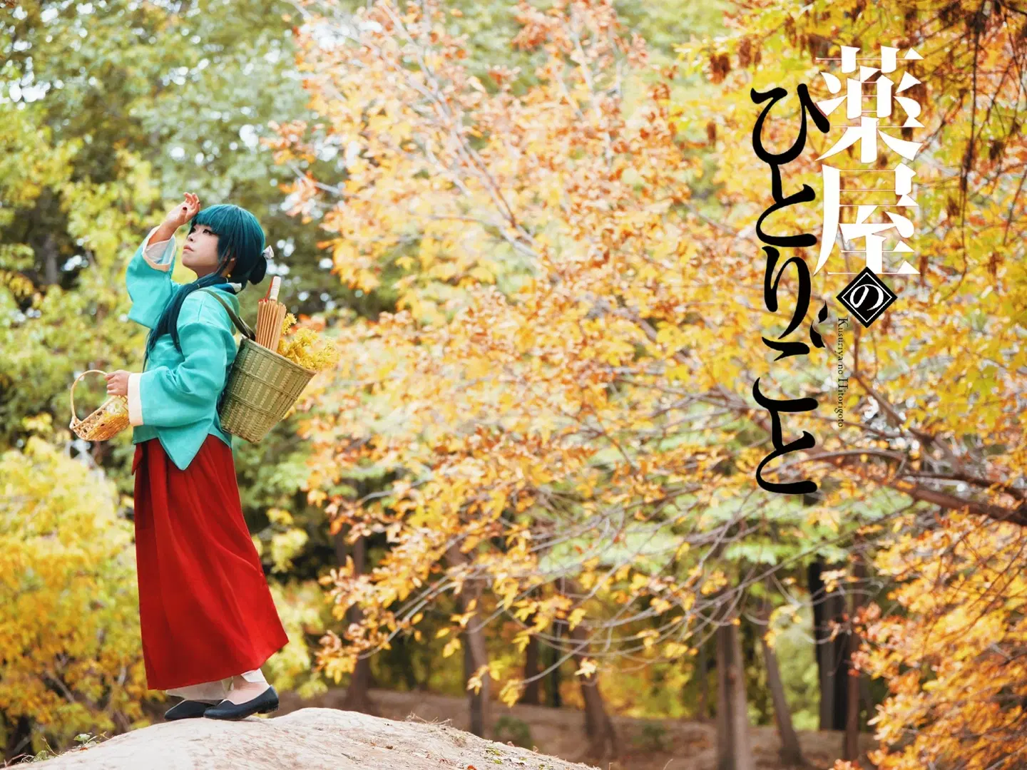【猫猫cos】药屋少女的呢喃 圆明园秋日采药正片 - 程阿尧 - 第2张