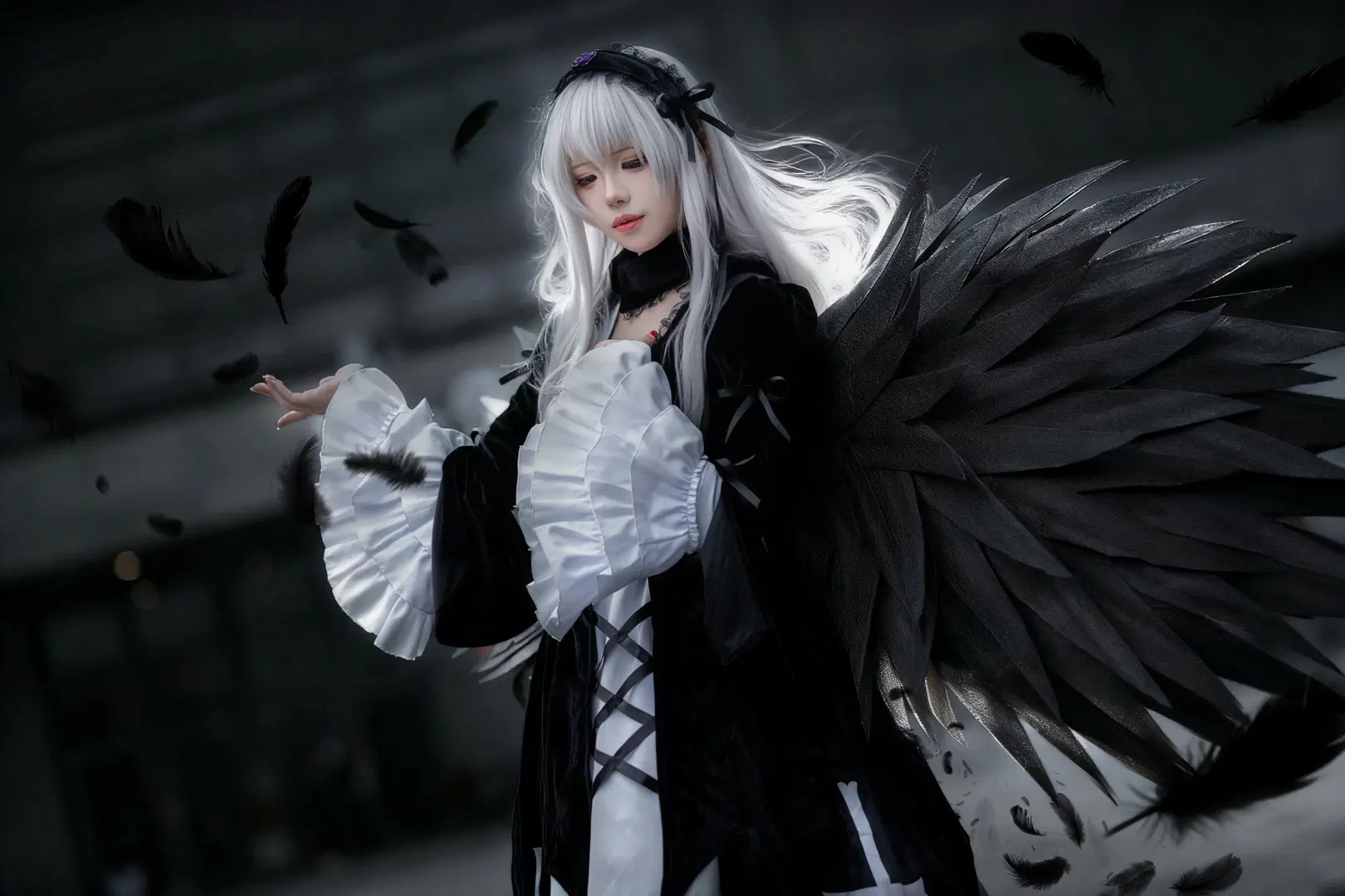 [Mercury Lampe cosplay] First Doll of Rozen Maiden: Gothic Aesthetic Beneath Black Feathers by Kirito君 - Image 3