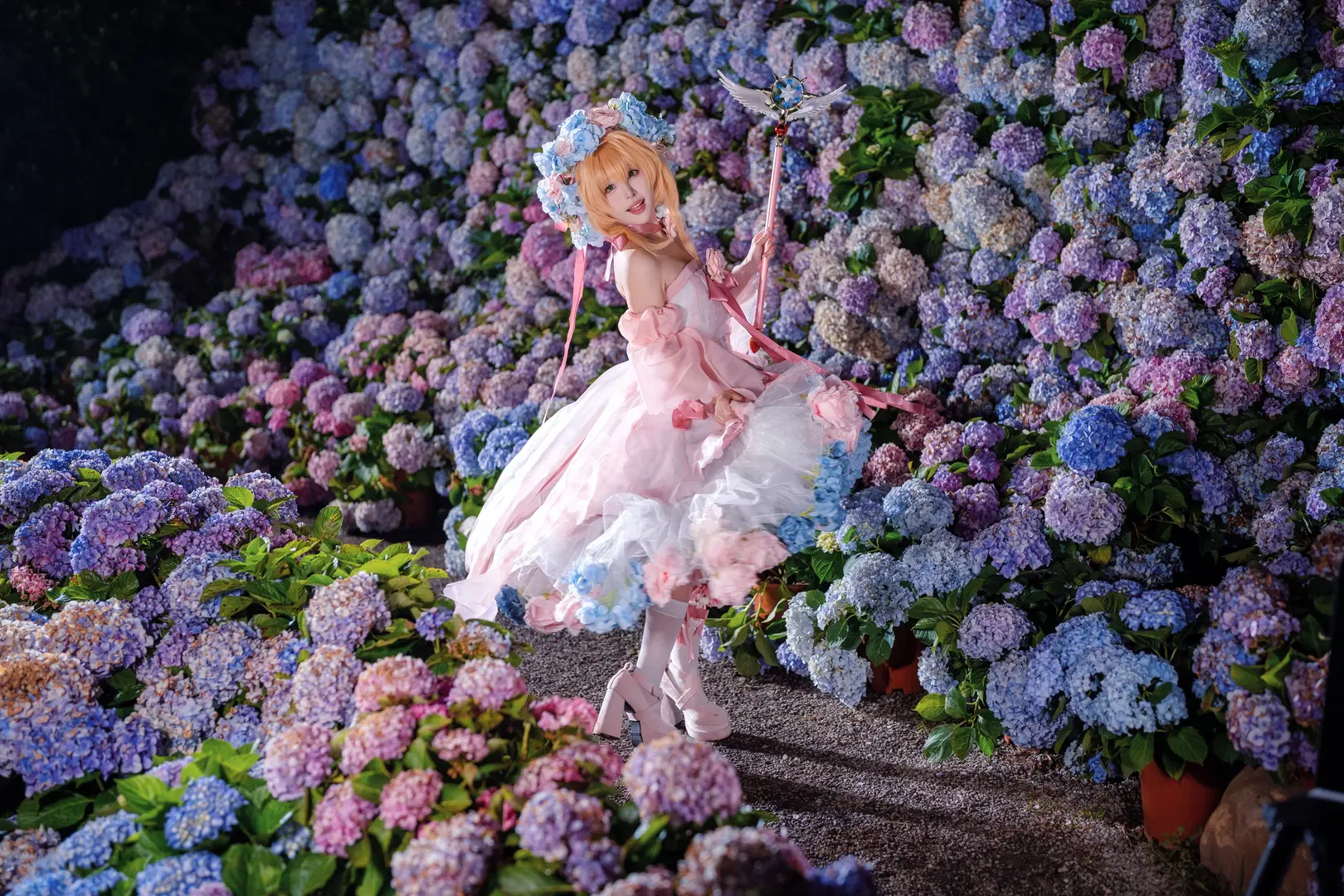[Kinomoto Sakura cosplay] A Pink and Blue Fairytale in the Endless Summer Hydrangea Field by Kirito君 - Image 11