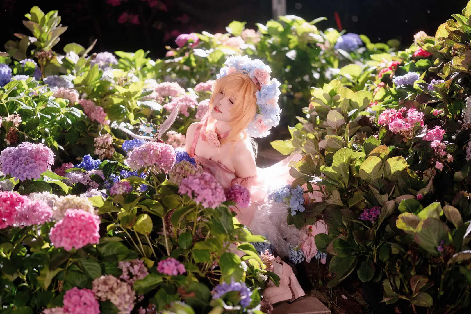 [Kinomoto Sakura cosplay] A Pink and Blue Fairytale in the Endless Summer Hydrangea Field by Kirito君 - Image 12