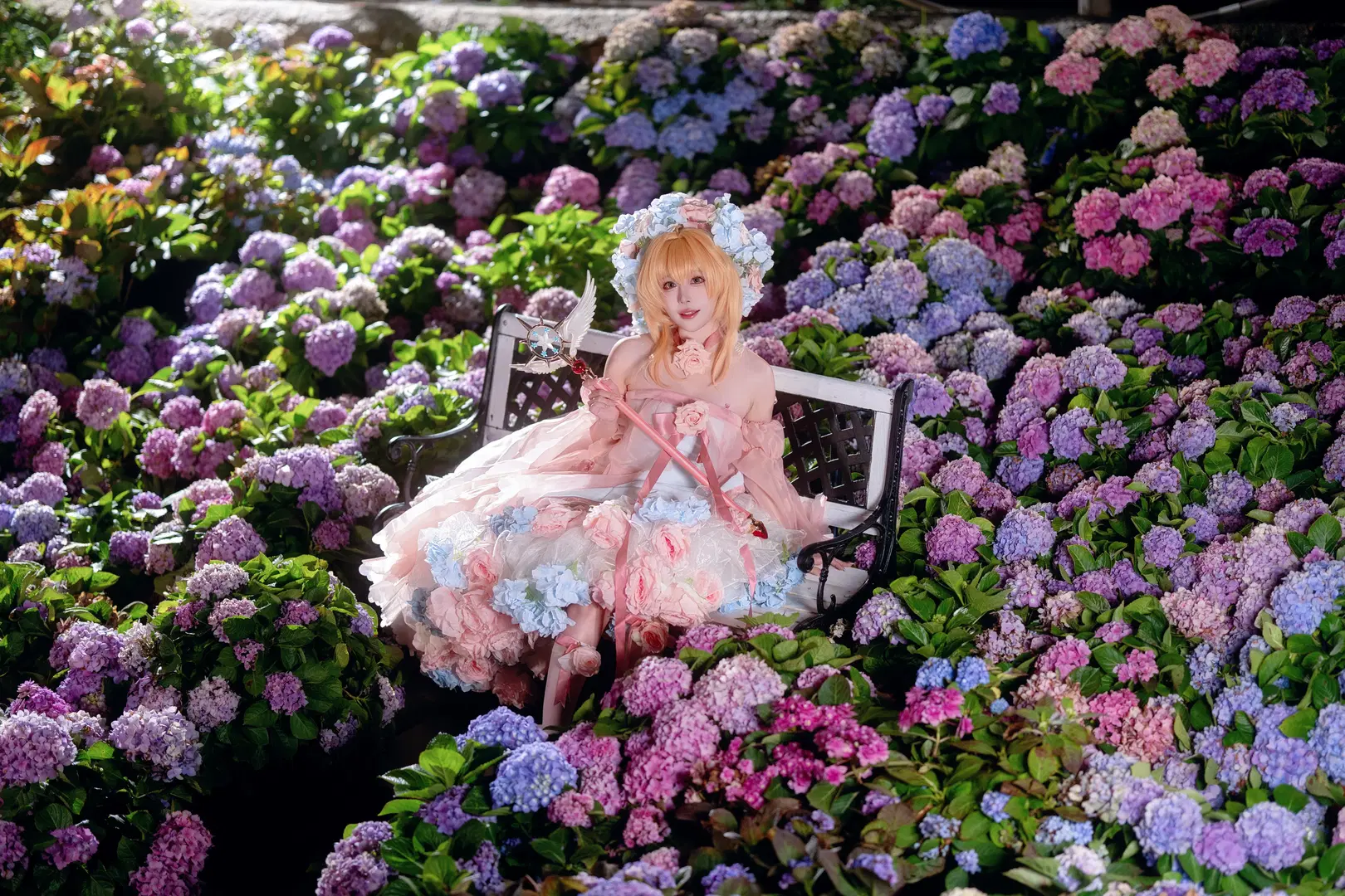 [Kinomoto Sakura cosplay] A Pink and Blue Fairytale in the Endless Summer Hydrangea Field by Kirito君 - Image 13