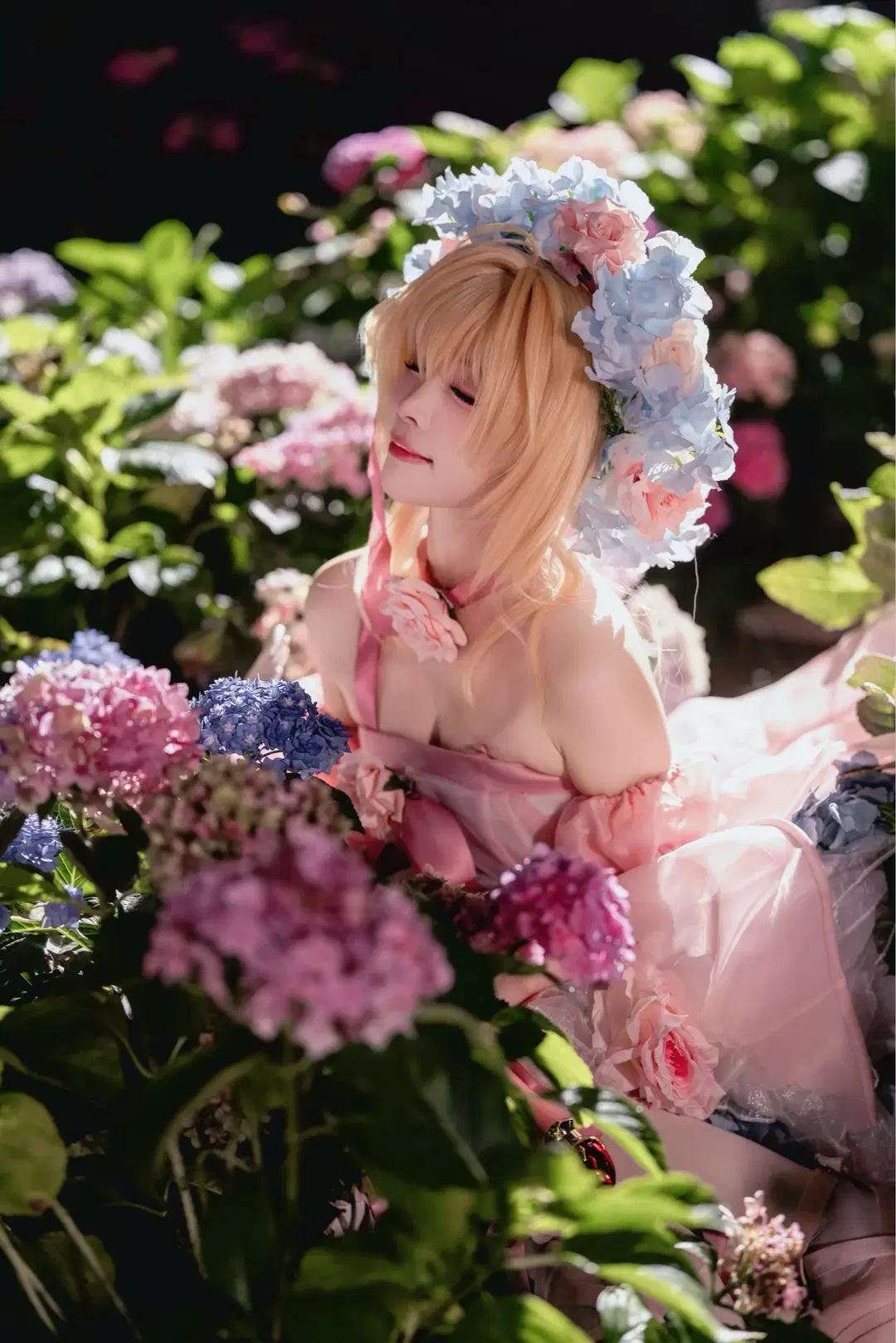[Kinomoto Sakura cosplay] A Pink and Blue Fairytale in the Endless Summer Hydrangea Field by Kirito君 - Image 9