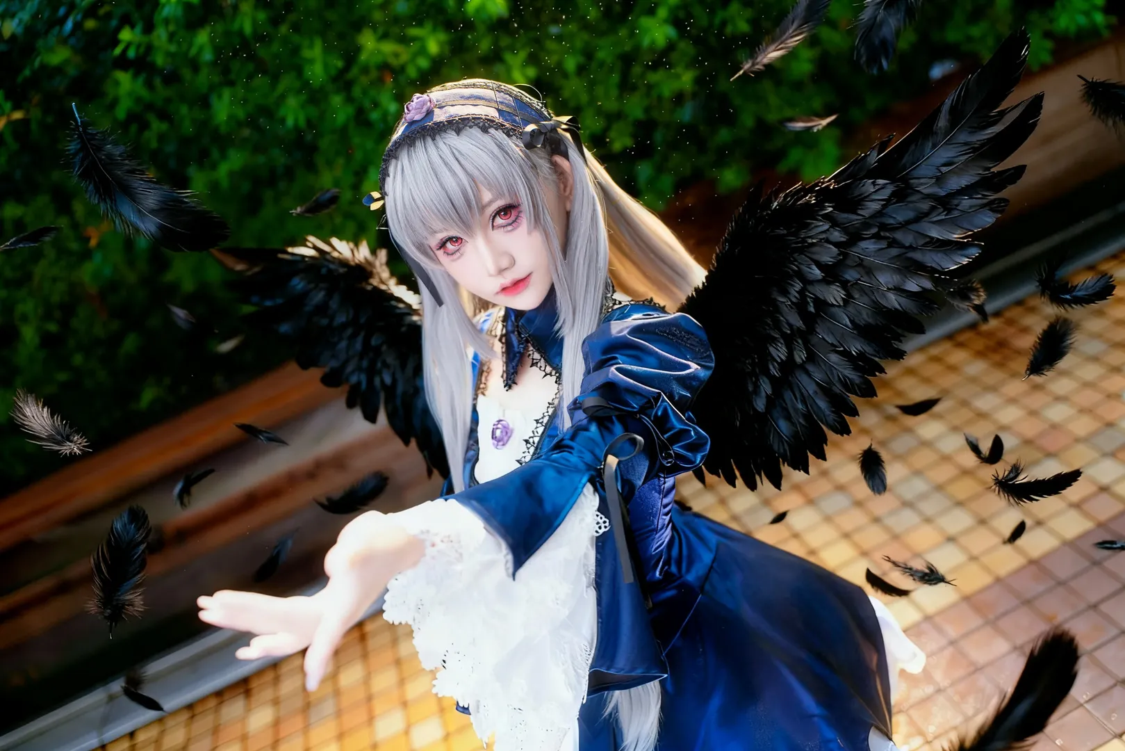 哥特风, 蔷薇少女, 水银灯cos, 池ハロ, 雨中场照