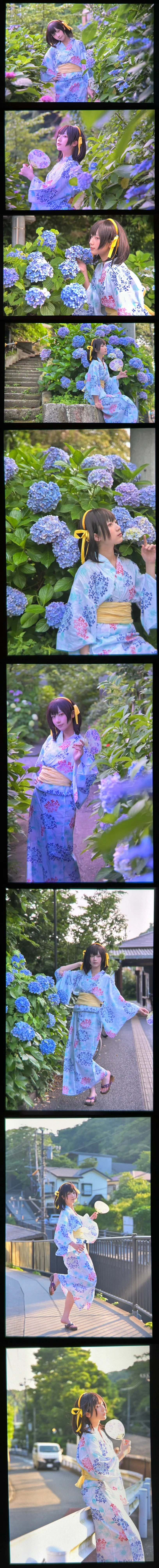 【Haruhi Suzumiya cosplay】Kamakura hydrangeas Season and Tanabata Wishes by 終於Still - Image 6