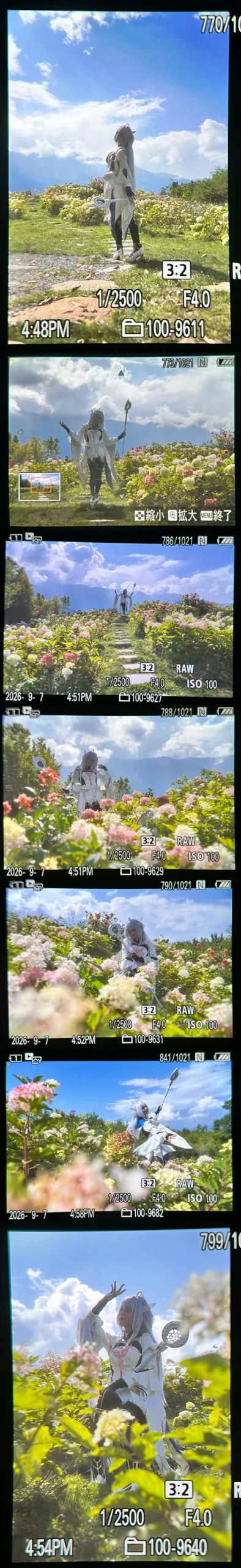 【梅林cos】FGO阿瓦隆女士的绣球花园外景 - 終於Still - 第6张