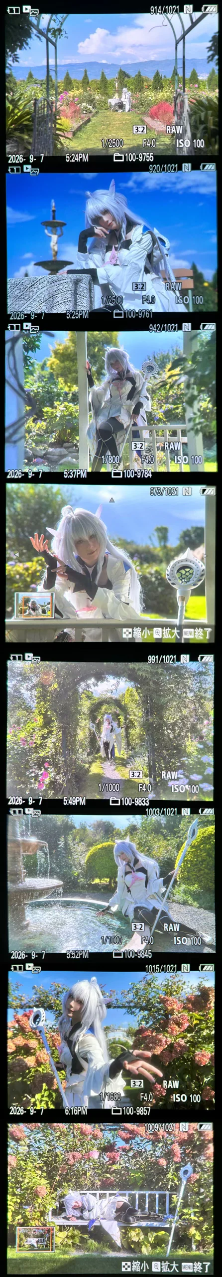 【梅林cos】FGO阿瓦隆女士的绣球花园外景 - 終於Still - 第7张