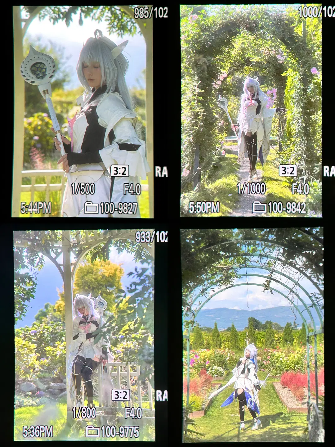 【梅林cos】FGO阿瓦隆女士的绣球花园外景 - 終於Still - 第8张