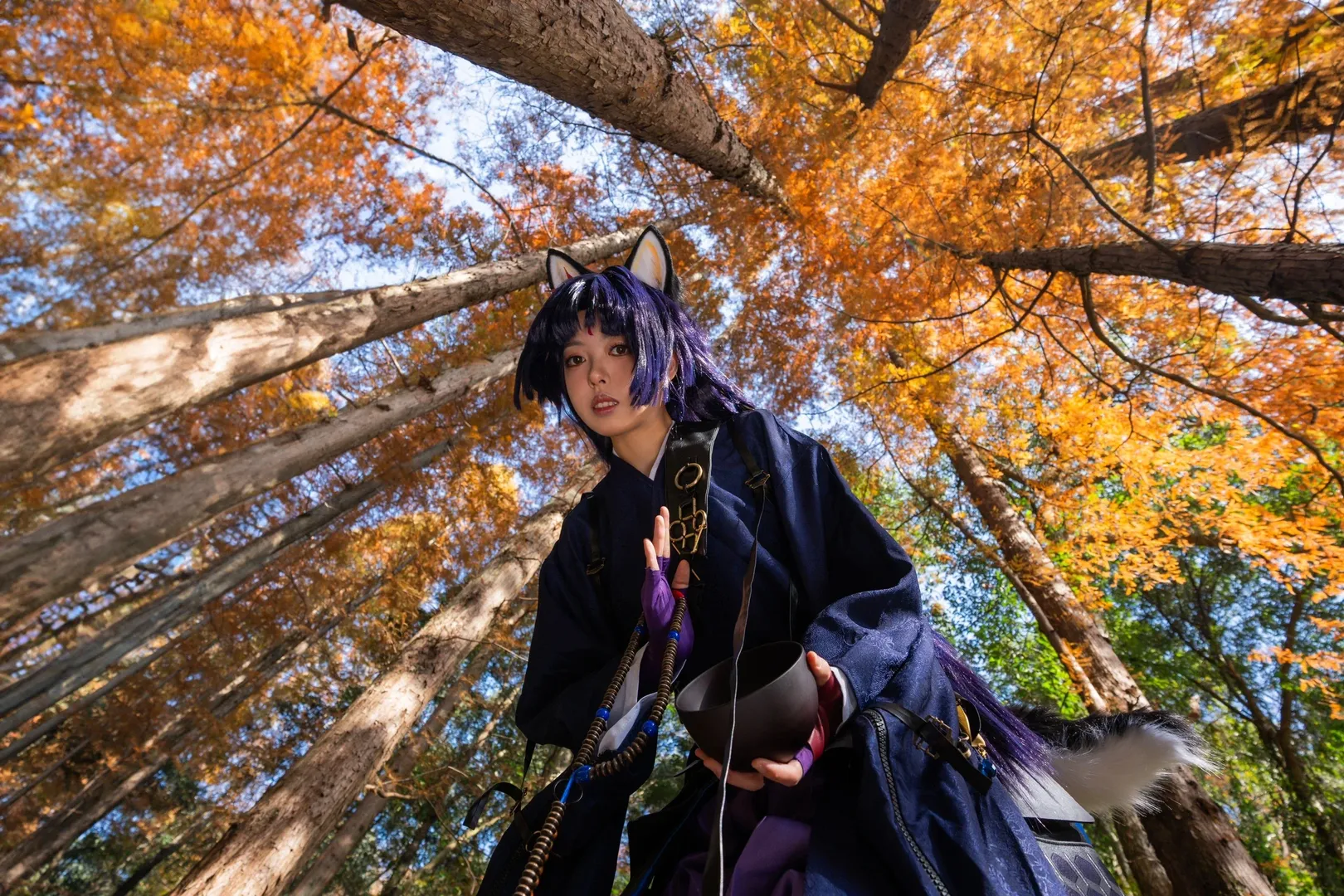 Arknights, Hangzhou photography booking, Animal ears, Saga cosplay, Autumn forest