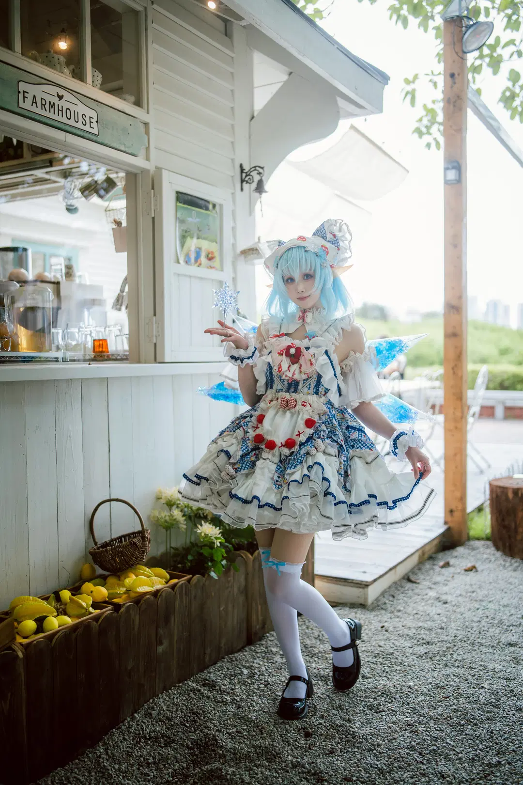 【琪露诺cos】东方project的冰之妖精咖啡屋大冒险 - 脆脆一点都不好吃 - 第4张