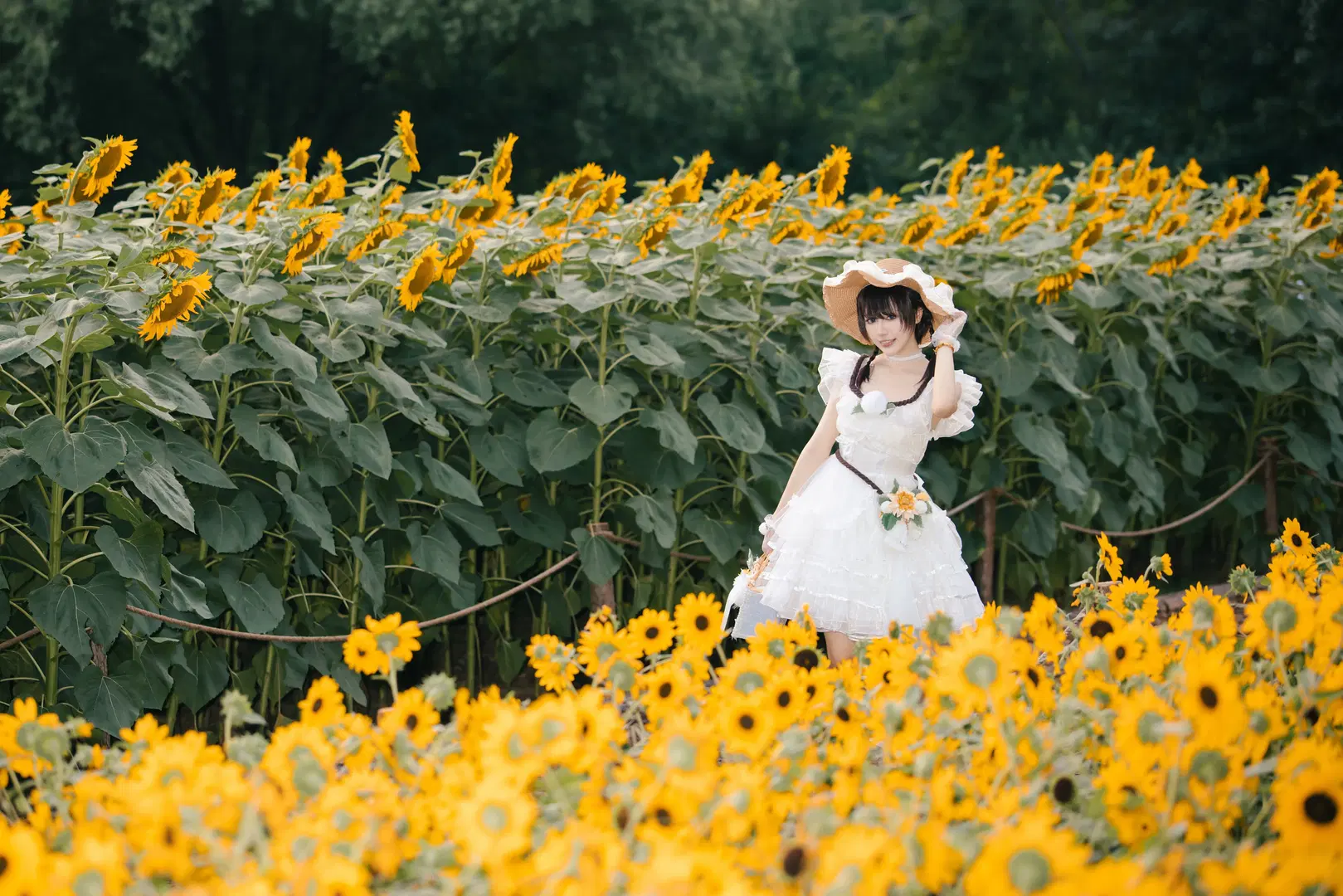 [Gardener cosplay] In a Sea of Sunflowers: Identity V Gardener Photo Diary by 影D丶Camera - Image 4