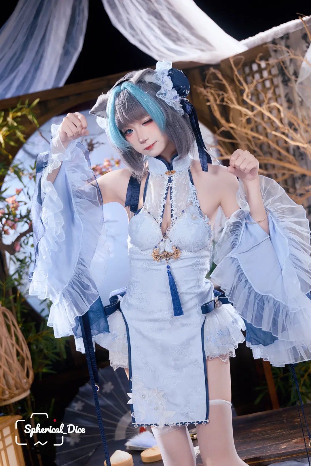 【柴郡cos】蓝白旗袍与铃铛，东煌淑女的优雅体验 - 圆形骰子 - 第2张