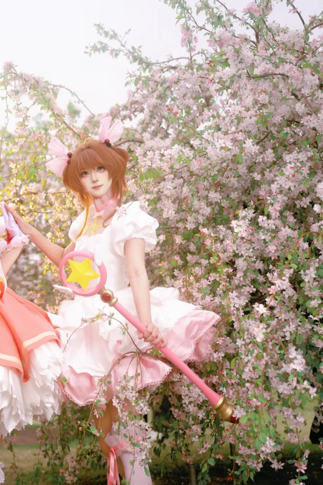 雙人cos, 小櫻cos, 花海, 魔卡少女櫻, 白絲