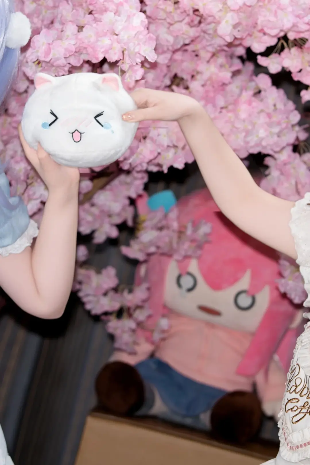 二次元cosplay, 香风智乃cos, 保登心爱cos, 点兔, 上海芳文社only - 第6张