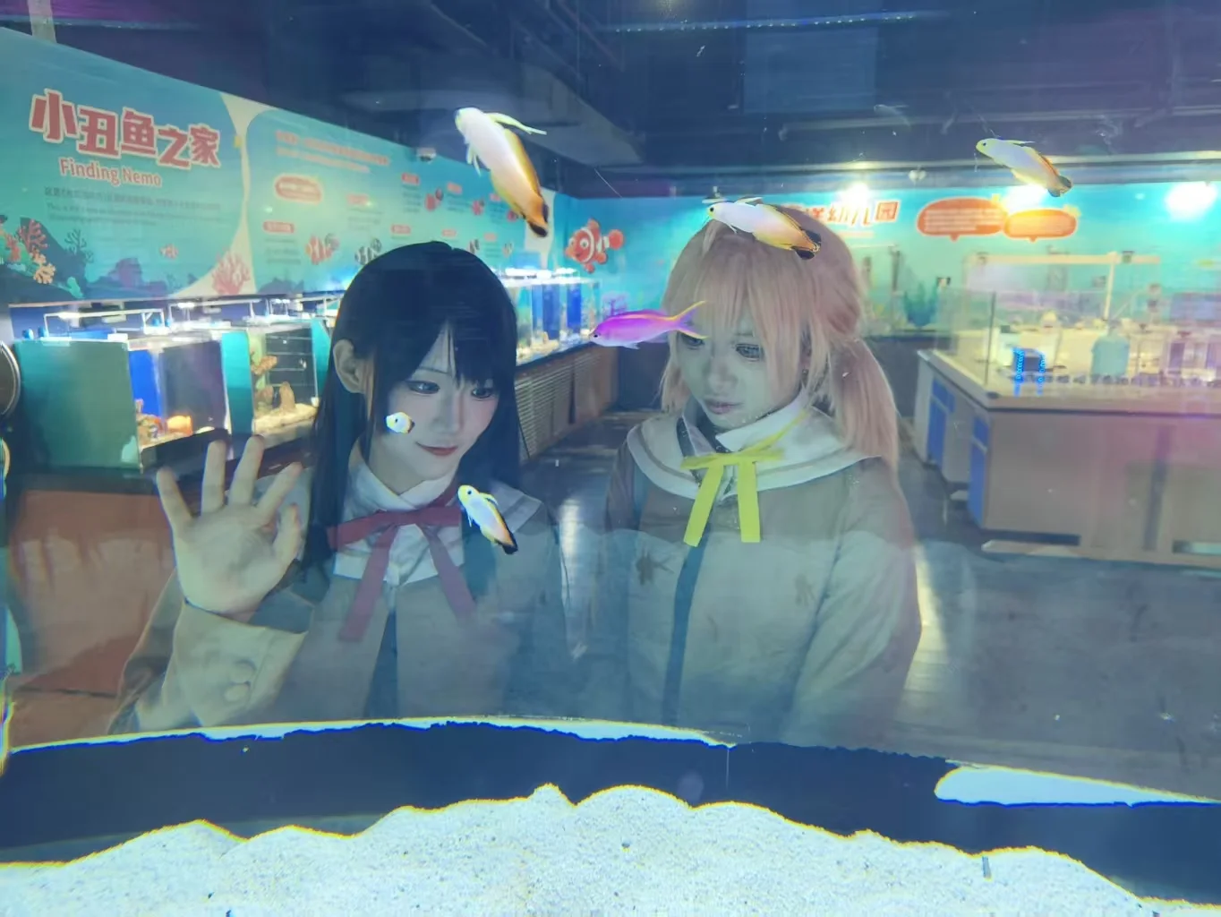 Yuu Koito Cosplay: Recreating the Bloom Into You Aquarium Date with Touko Nanami by 叙拉古黑帮尚雪兔 - Image 4