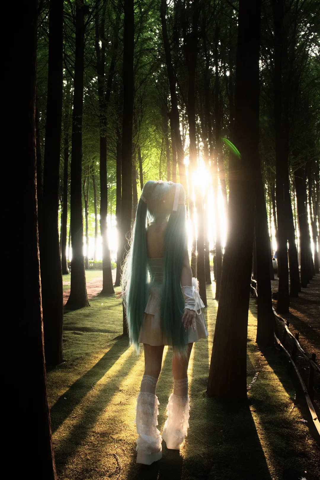 cosplay, 初音未来, 初音未来cos, 白丝, 森林逆光 - 第5张