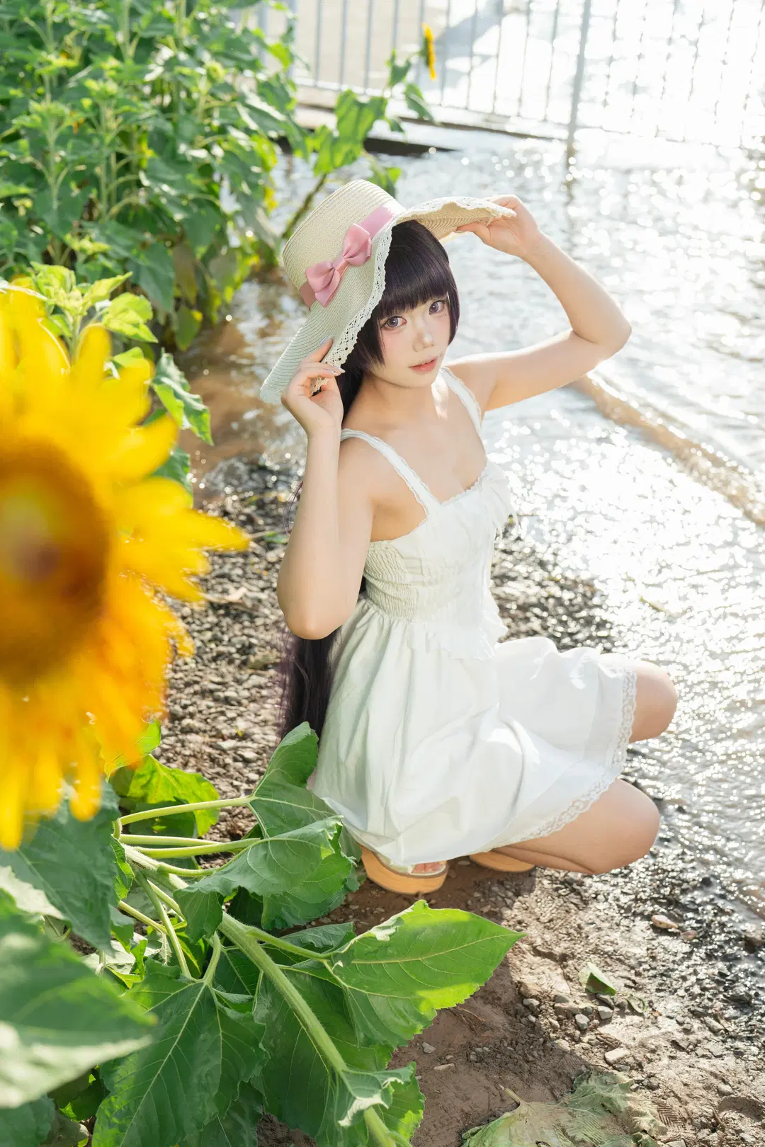 二次元撮影, 五更瑠璃 コスプレ, 黒猫コスプレ, ヒマワリ畑, 俺の妹がこんなに可愛いわけがない