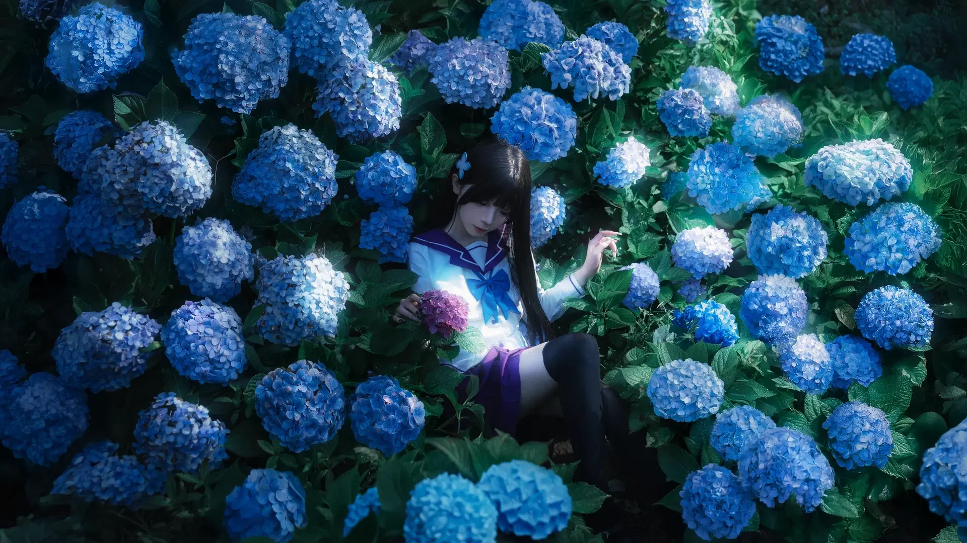 【散华礼弥cos】无尽夏绣球花海中的JK少女 - 云间glow - 第4张