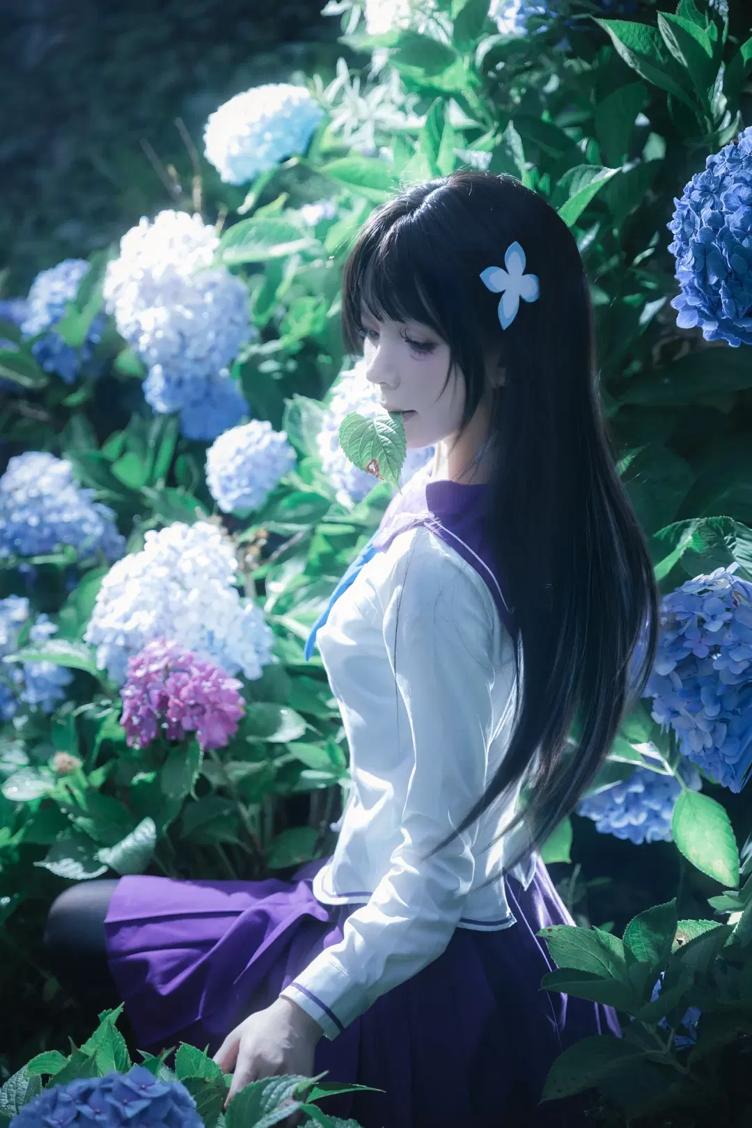 【散华礼弥cos】无尽夏绣球花海中的JK少女 - 云间glow - 第5张