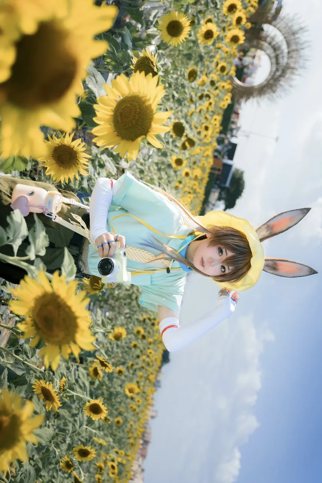 明日方舟, 阿米娅cos, 无忧梦呓, 向日葵花海, 长筒袜 - 第6张