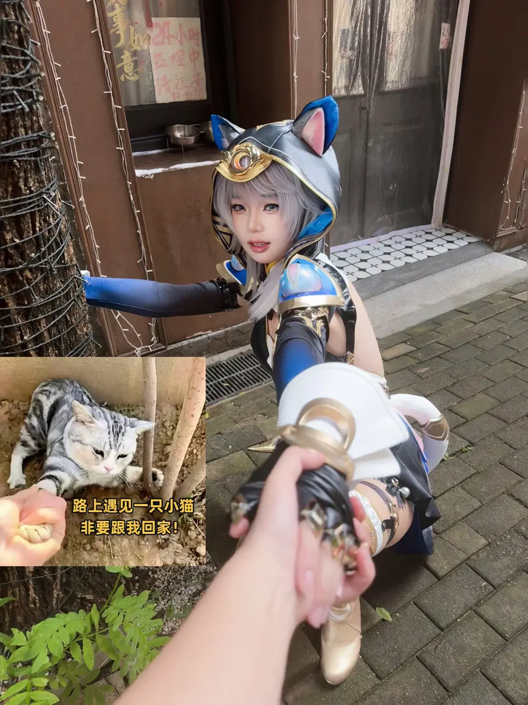 赛飞儿cos, 崩坏星穹铁道, 游戏cos, 猫耳cosplay, 外景街拍