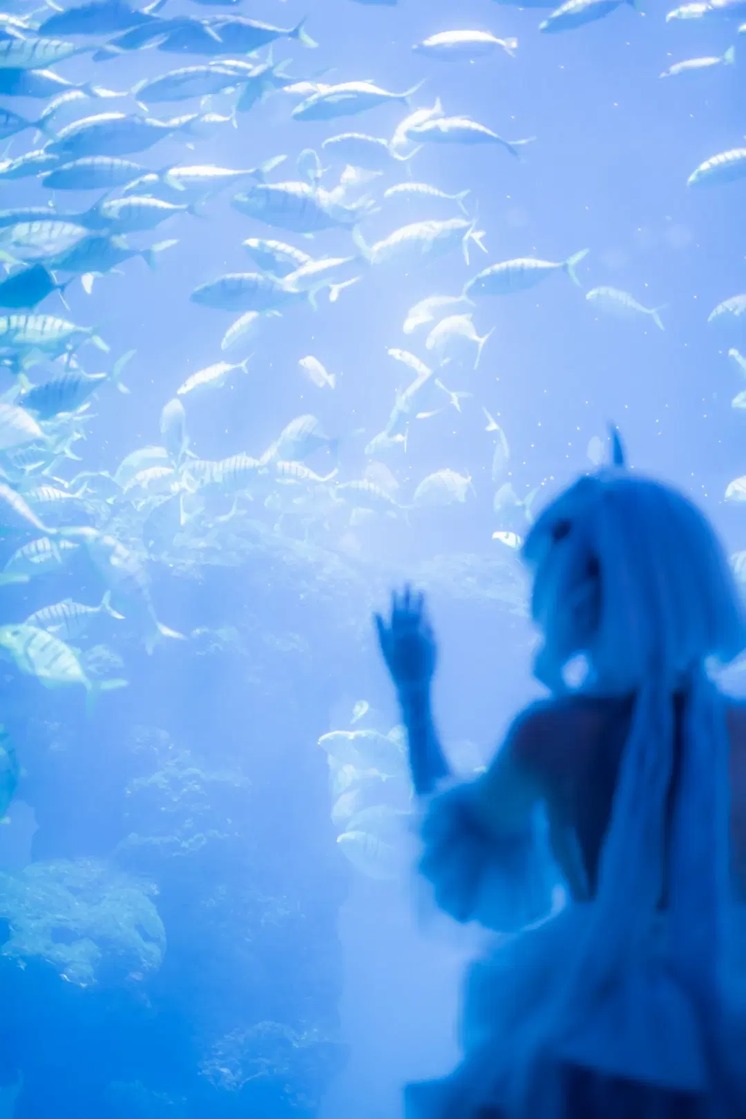 【芙宁娜cos】原神水族馆与青岛海边正片，我的故事已然落幕 - mile7758 - 第8张