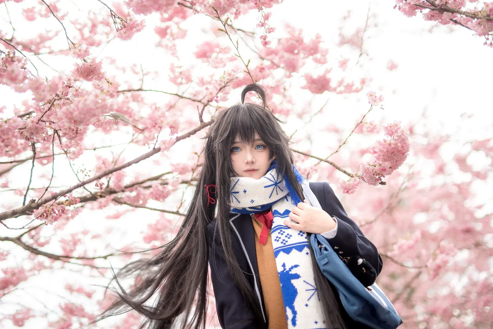 cos正片, 樱花写真, 雪之下雪乃cos, 重庆园博园, 黑长直假发