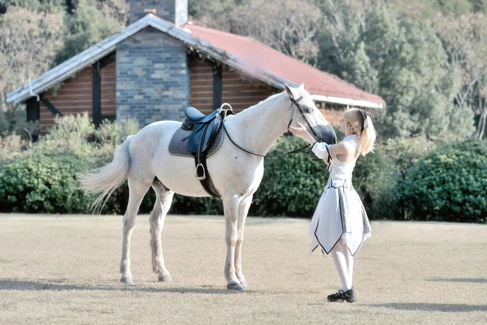 Altria cosplay, Fate/Grand Order, White stockings, Maiden knight, White horse location shoot