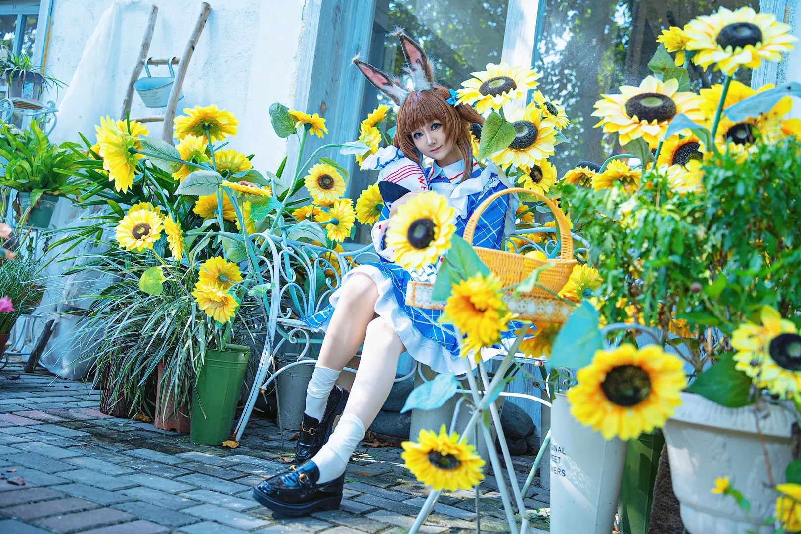 【阿米婭cos】明日方舟向日葵花園裡的鞦韆少女 - 硫酸铅沉淀（想拍正片版 - 第4張