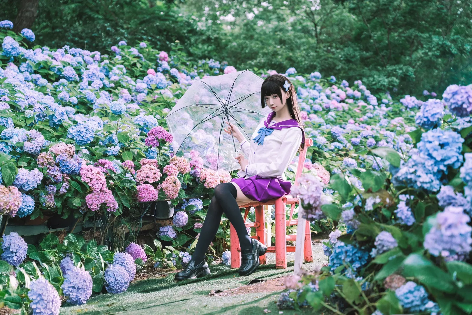 绣球花, 散华礼弥cos, 水手服, 黑丝, 散华礼弥
