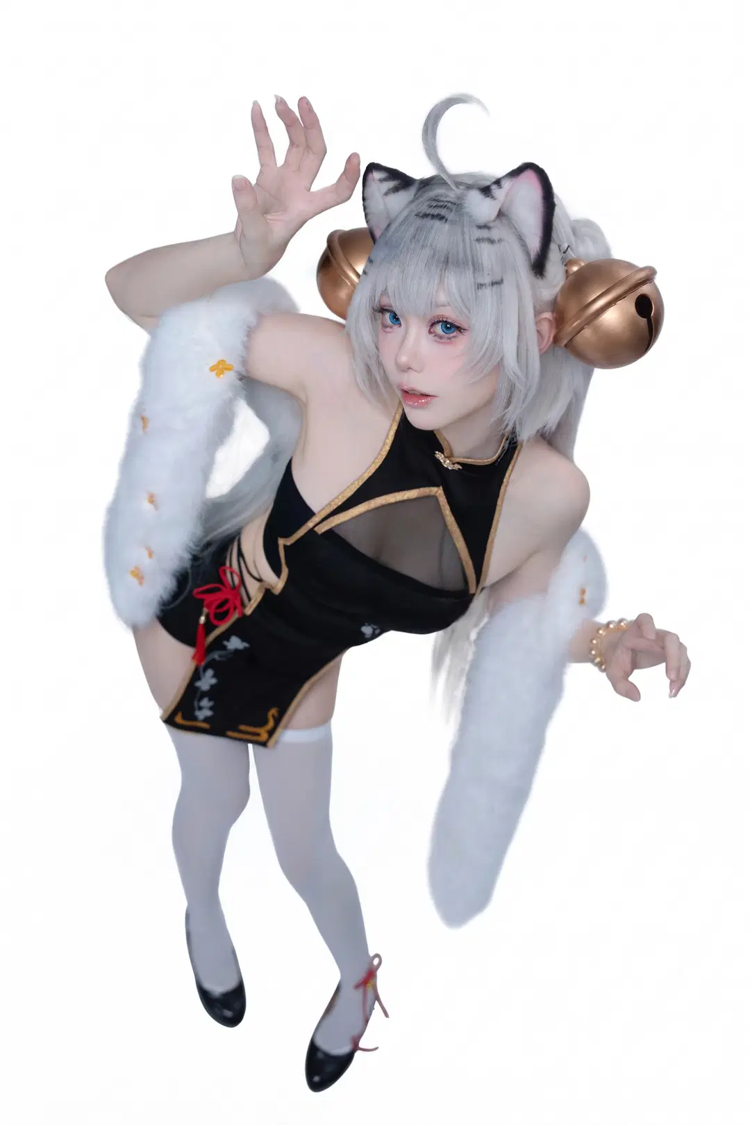 cosplay, 白虎娘cos, 白丝, 兽耳娘, 改良旗袍