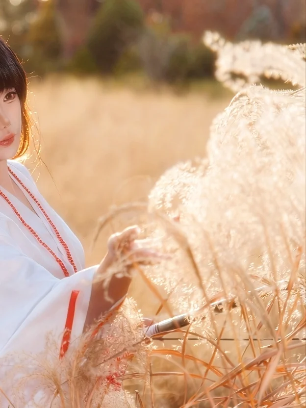 桔梗cos, 犬夜叉, 神明少女, 逆光, 弓箭cos - 第3张