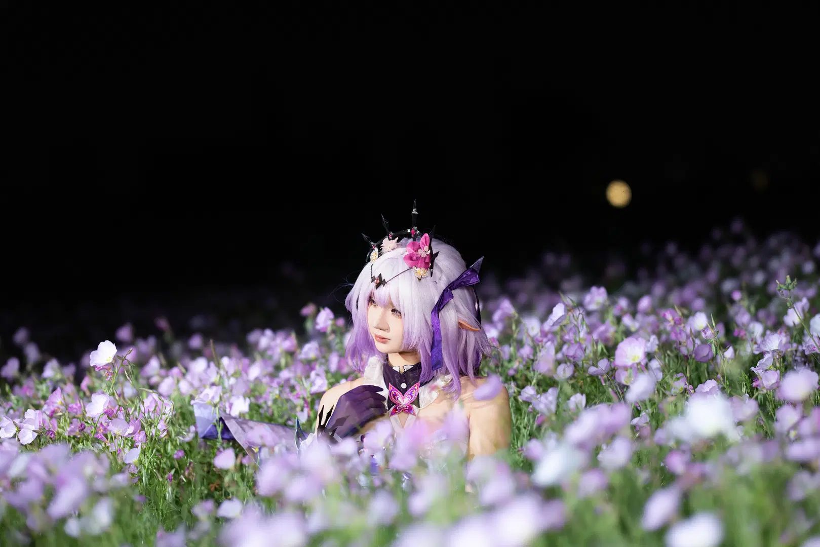 【Castorice cosplay】Purple Phantasm in a Sea of Flowers at Night: Honkai: Star Rail by 小羊不困（无限限流版，求关注求点赞） - Image 5