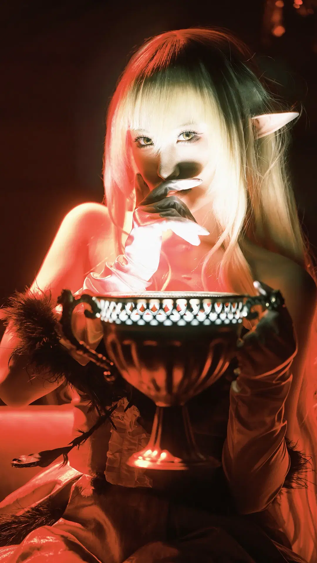 cosplay, Gothic style, Dark style, Bakemonogatari, Crown