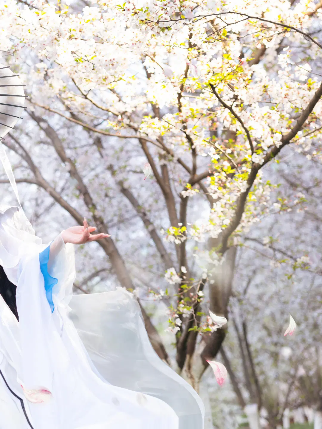 【李慕婉コスプレ】仙逆 花の下に傘を差し、白衣を纏いて君の帰りを待つ - 妖小纯_有棚版 - 2枚目