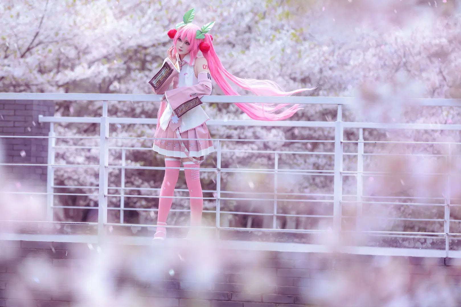 初音ミク コスプレ, コスプレ撮影, 桜 コスプレ, ピンクのツインテール, ストッキング コスプレ