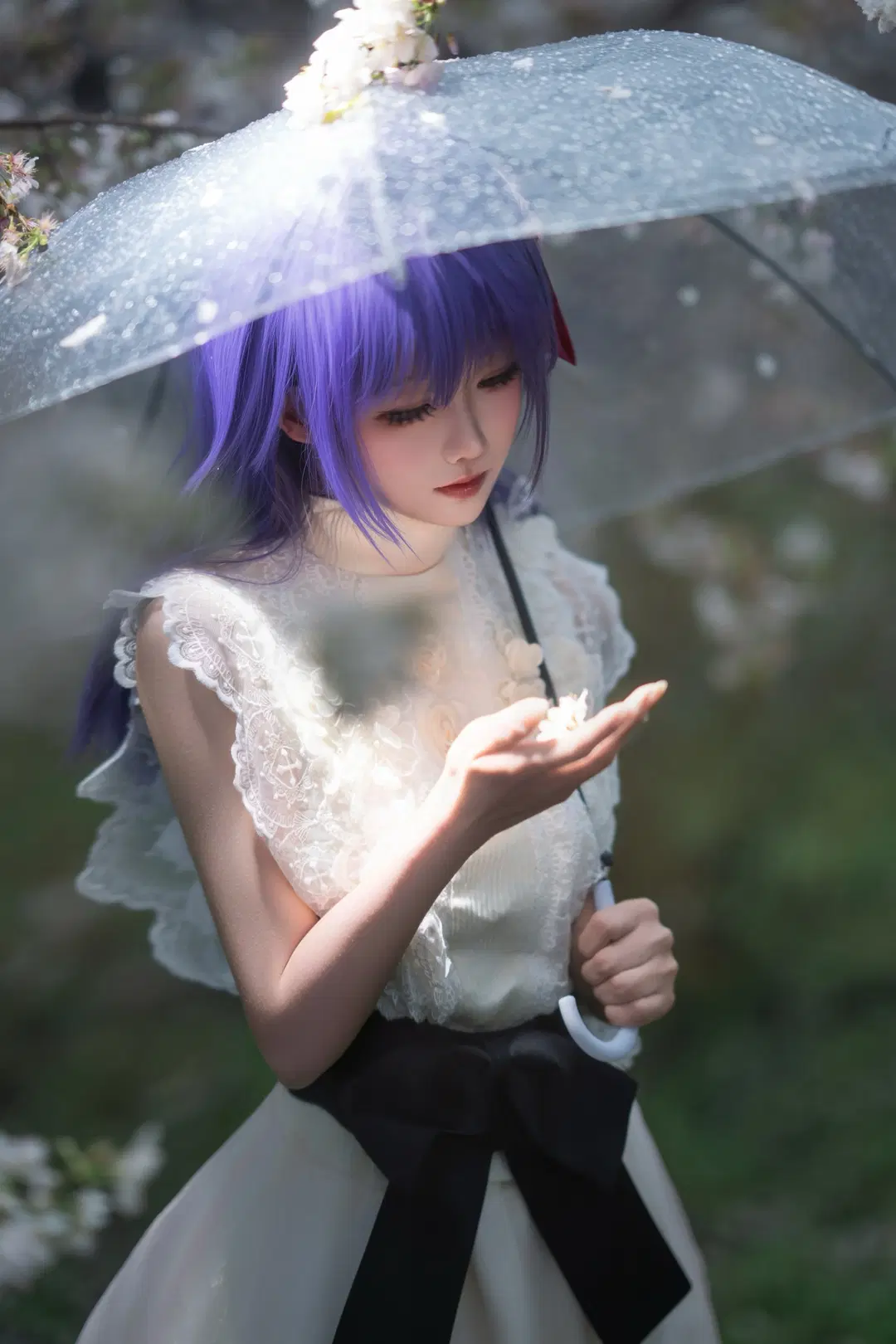 Fate, 间桐樱cos, 透明雨伞, 紫发少女, 早春樱花写真