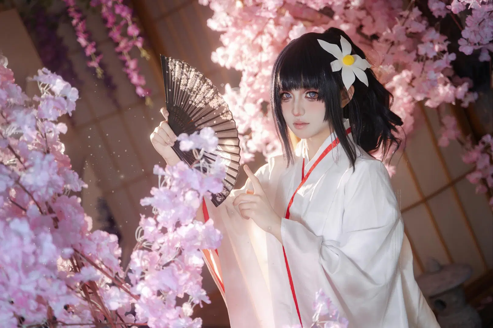 【雏田cos】月下白百合，红白和服与樱花的唯美碰撞 - 叶彦 - 第4张