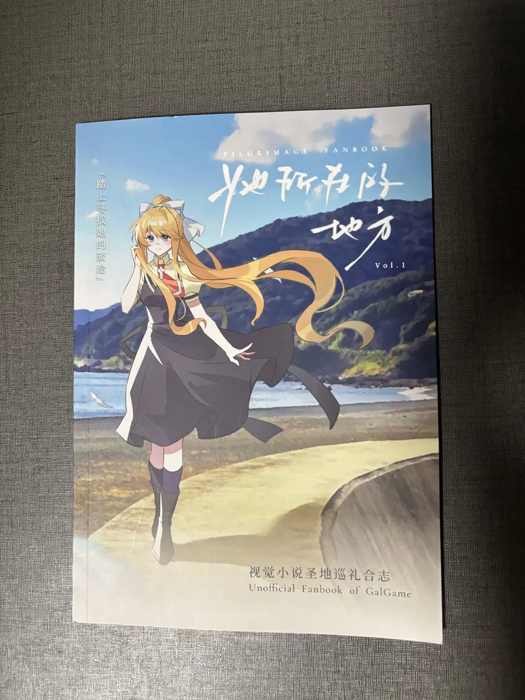 漫展現場喜提聖地巡禮合志實體版 - 披萨猫主理人 - 第2張