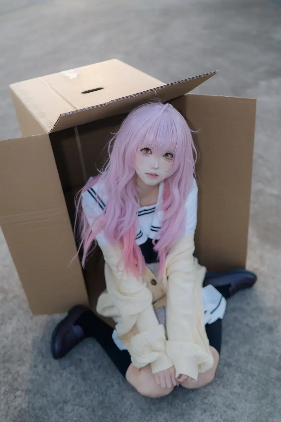 【向日葵cos】君与彼女与彼女之恋的纸箱少女日常 - SmileMax - 第3张