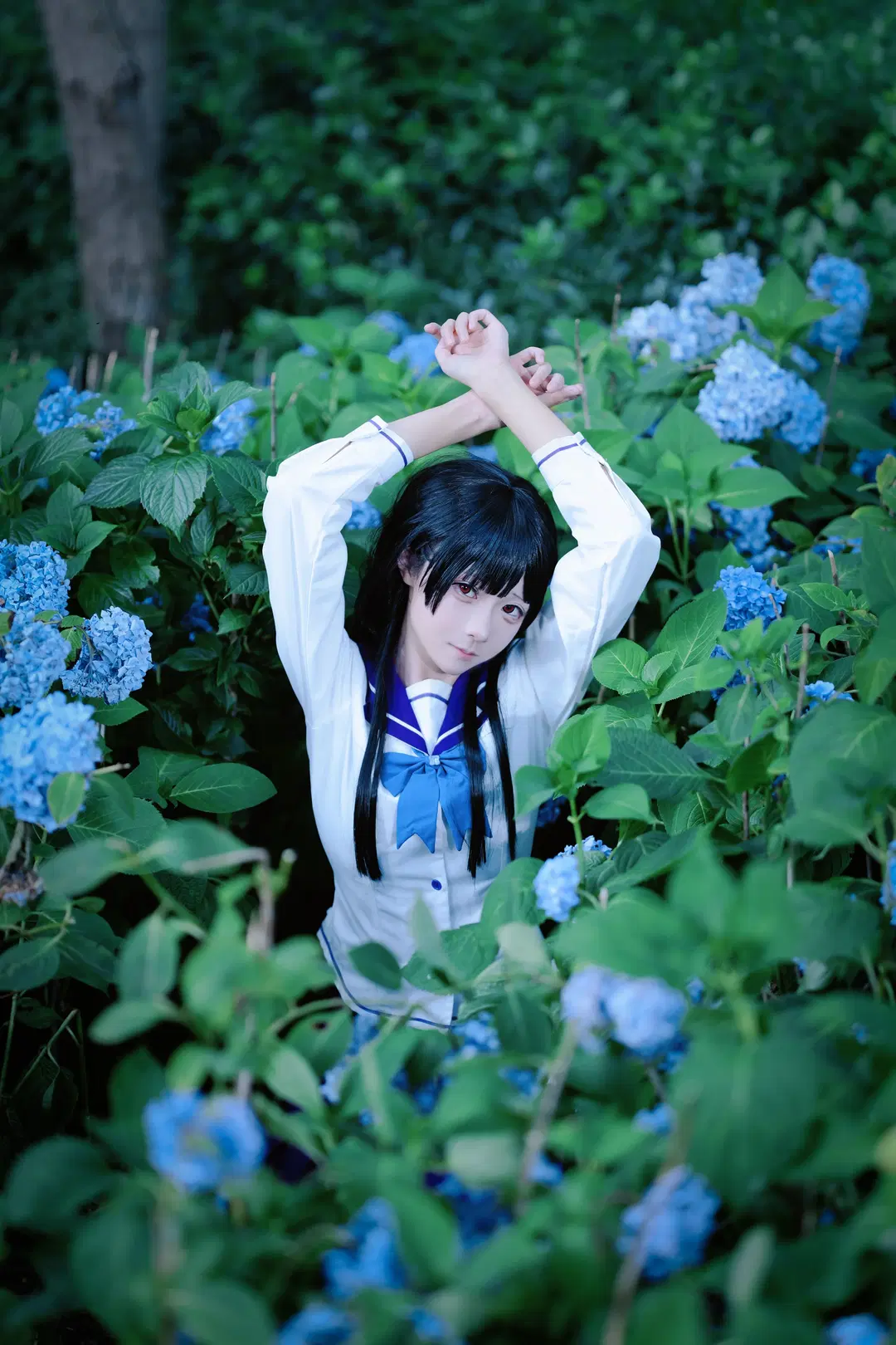 【Sankarea: Undying Love cosplay】Endless Summer of Hydrangea: Sailor Suit Maiden Amidst Blossoms (Anime-style photography & Black stockings) by 段景 - Image 10