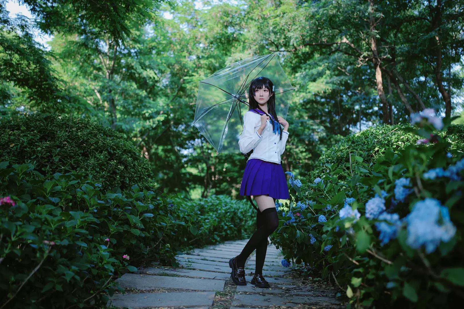【Sankarea: Undying Love cosplay】Endless Summer of Hydrangea: Sailor Suit Maiden Amidst Blossoms (Anime-style photography & Black stockings) by 段景 - Image 12